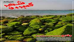 خبرنامه چند رسانه ای گمبرون شهر سال سوم شماره 142 هفته اول تیرماه 1403